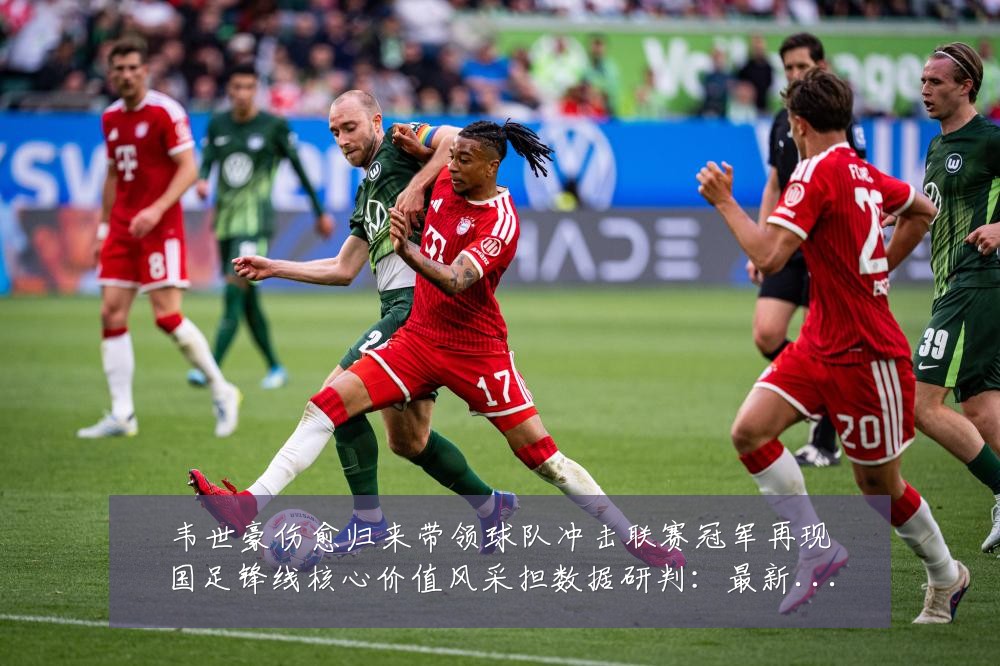 韦世豪伤愈归来带领球队冲击联赛冠军再现国足锋线核心价值风采担数据研判:最新赛事动态与深度分析